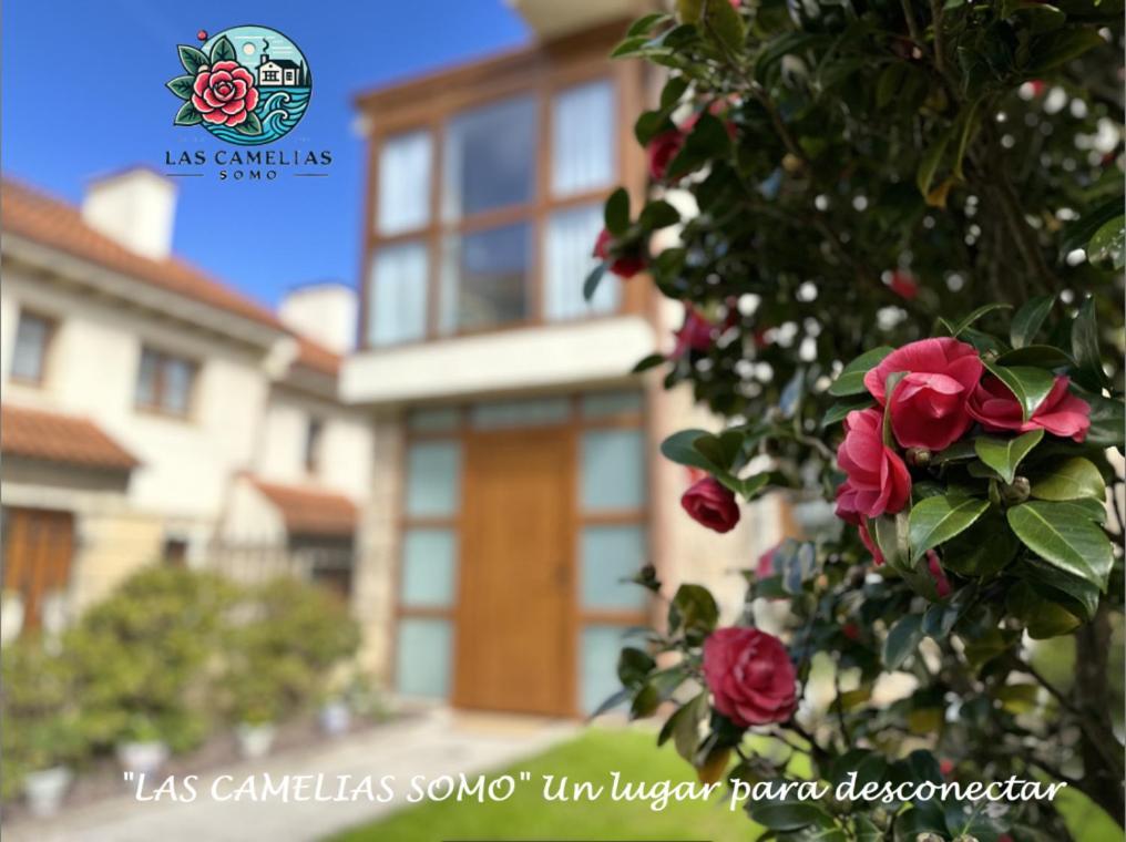 "Las Camelias Somo" Un Lugar Para Desconectar!! Vistas Al Mar!! Luaran gambar